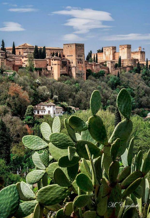 Apartamento Realejo Centro Ciudad Granada Bagian luar foto